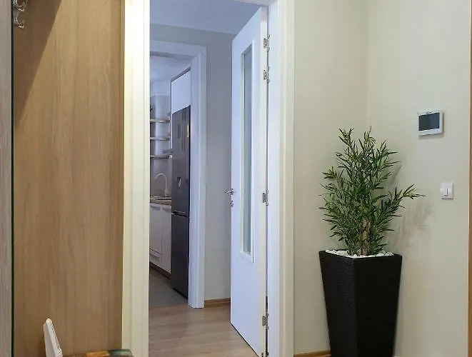 Pronto & Pronto * 쿠르셰바츠